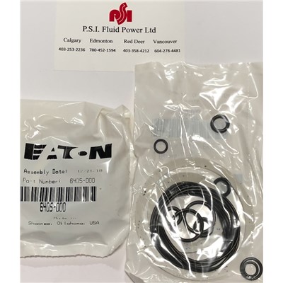 10K SEAL KIT; REAR (100)